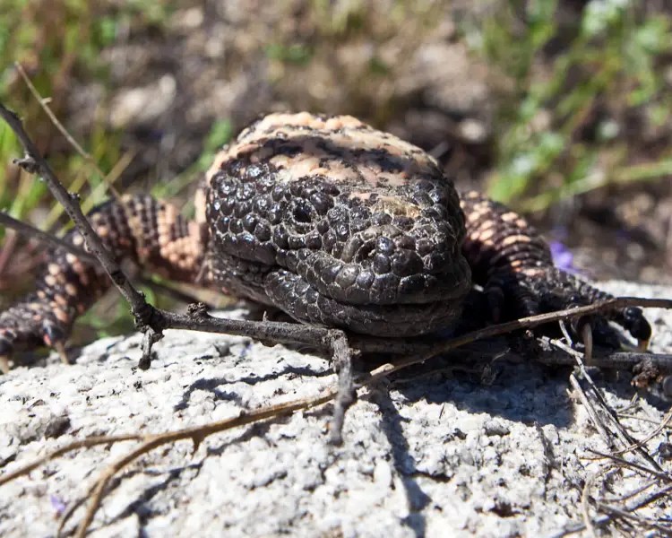 Esas malditas malas&nbsp;mañas